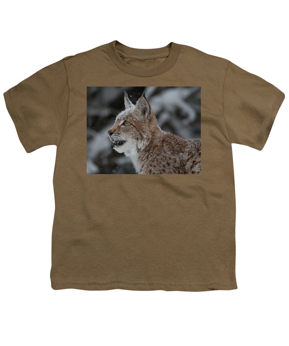 Montana Youth T-Shirt featuring the photograph Siberian Lynx Kitten 7543 by Teresa Wilson