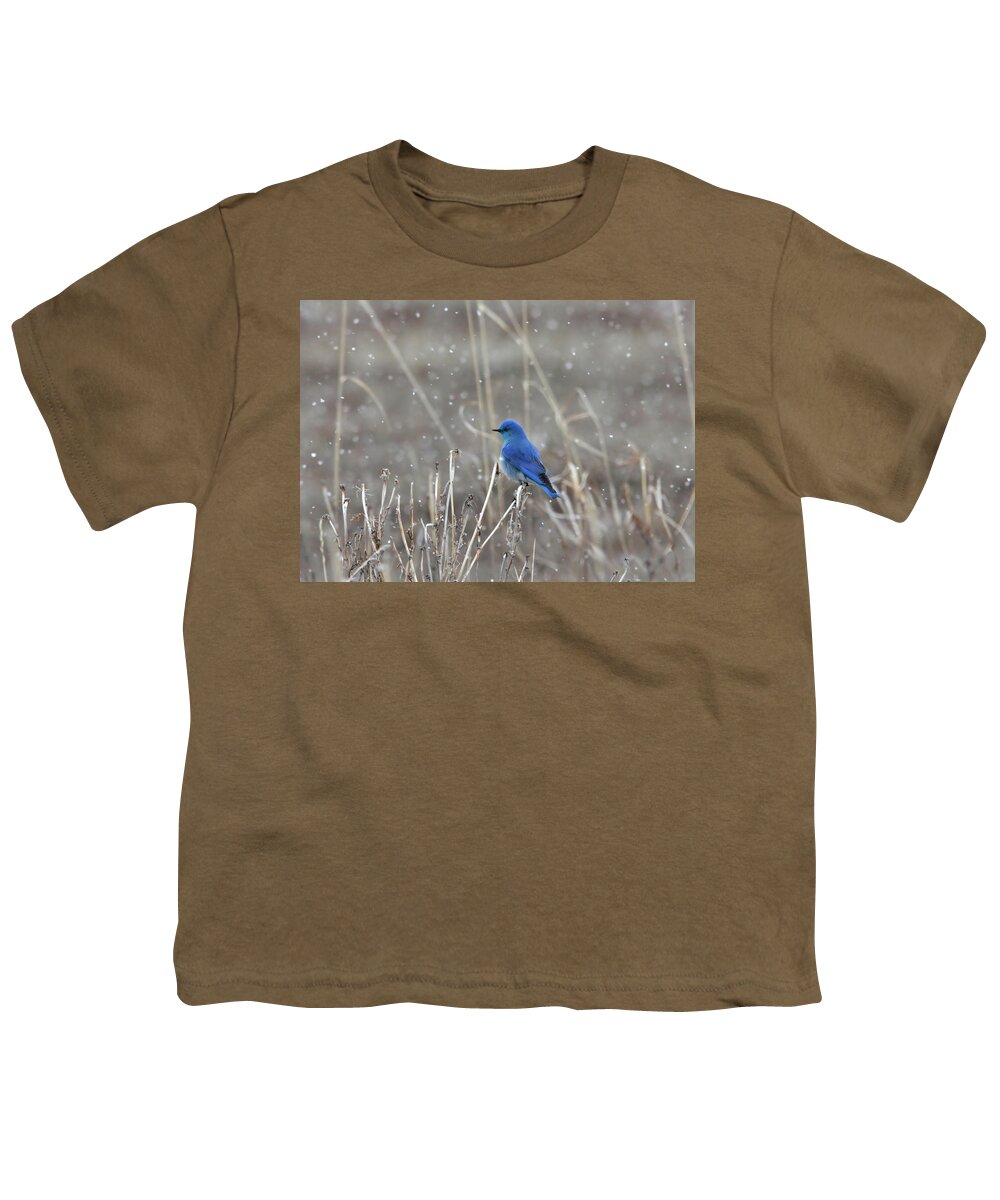 Blue Youth T-Shirt featuring the photograph Snow by Ronnie And Frances Howard