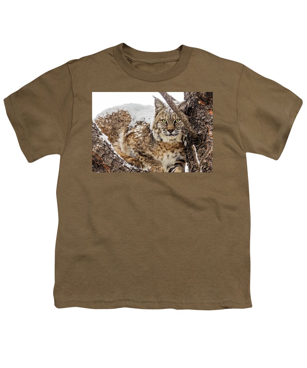 Categories Youth T-Shirt featuring the photograph Snowy Bobcat by Dawn Key