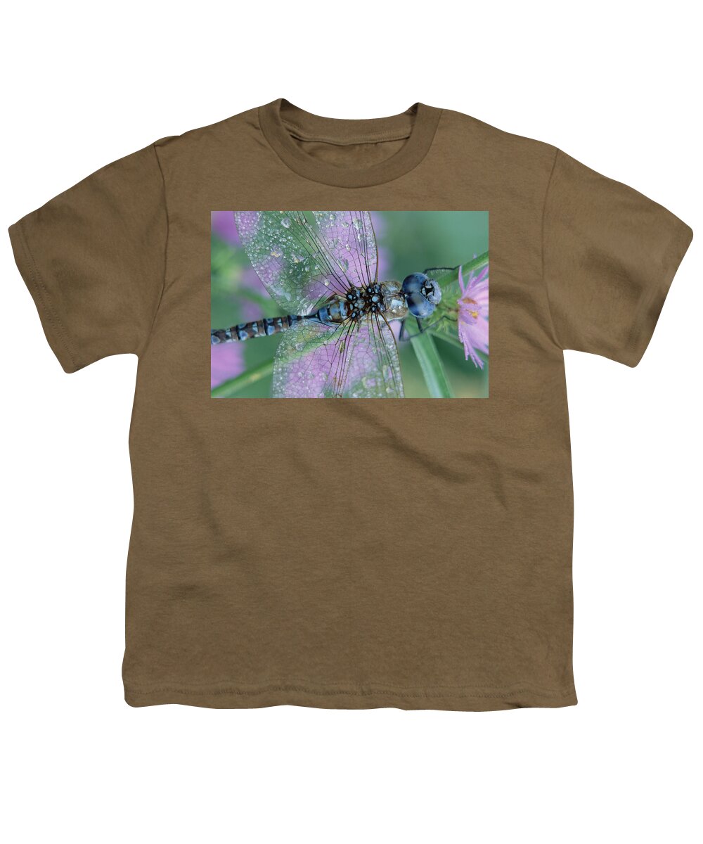 Mp Youth T-Shirt featuring the photograph Southern Hawker Dragonfly Aeshna Cyanea by Tim Fitzharris