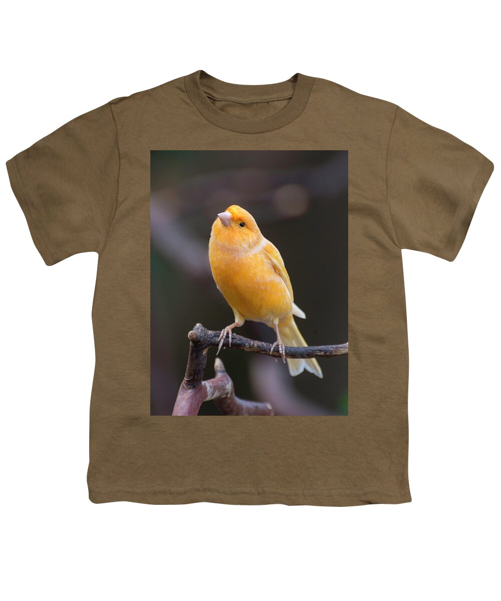 Spanish Timbrado Canary Youth T-Shirt featuring the photograph Spanish Timbrado Canary by John Poon