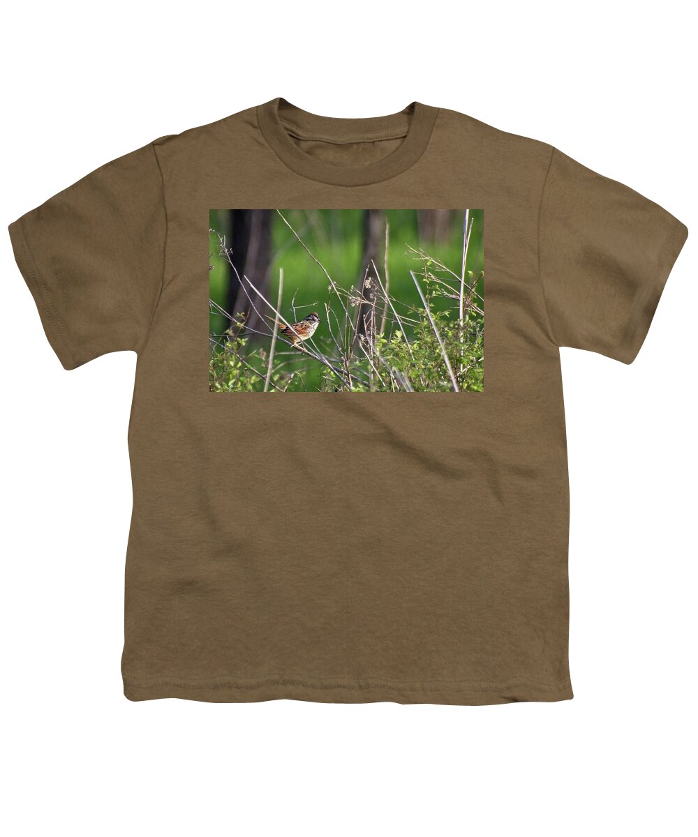 Wildlife Youth T-Shirt featuring the photograph Sparrow On A Branch by John Benedict