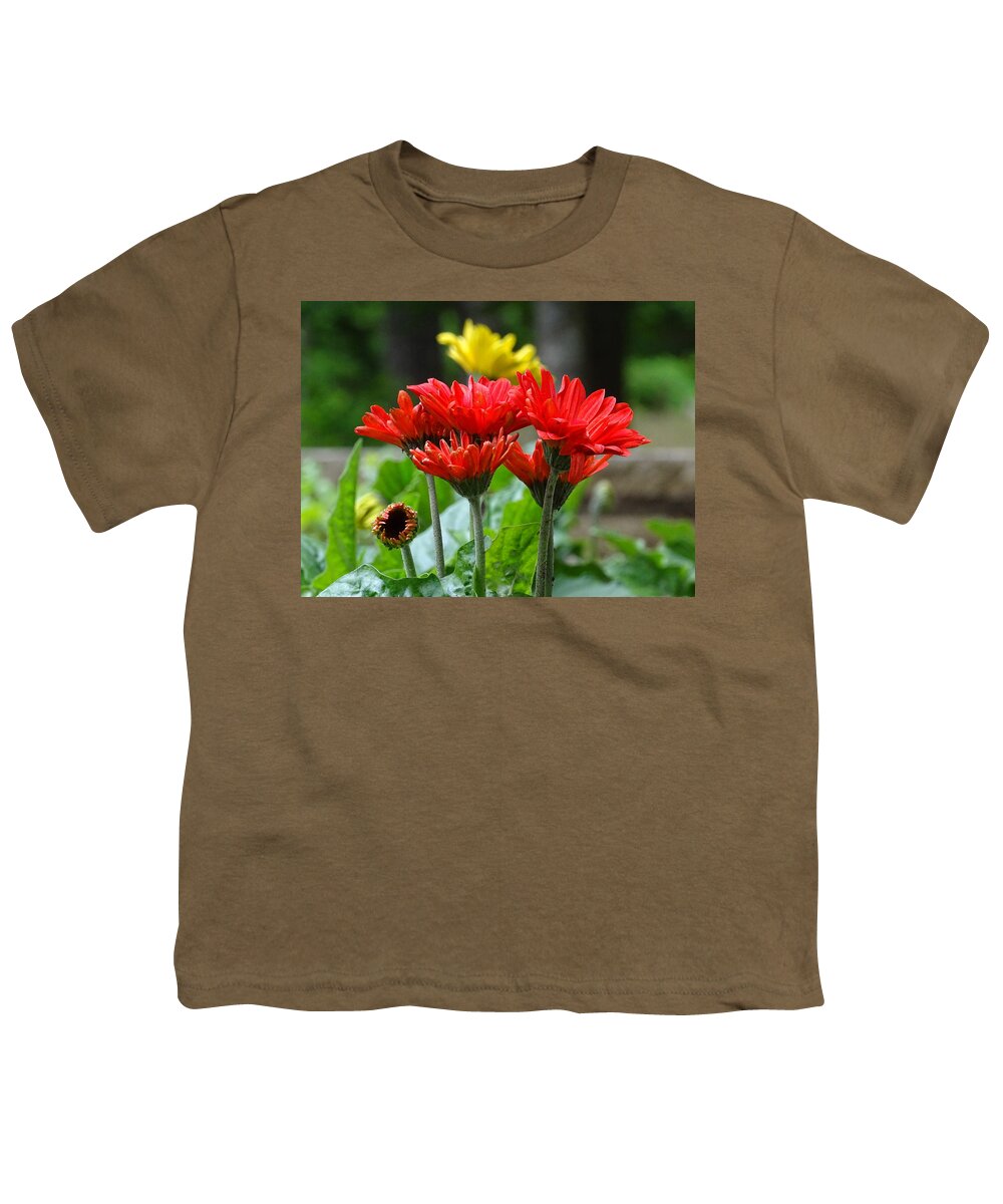 Gerbera Youth T-Shirt featuring the photograph Spring by Mary Halpin