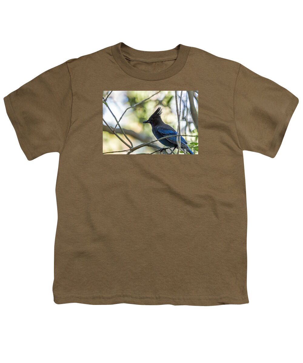Bird Youth T-Shirt featuring the photograph Steller's Portrait by Kate Brown