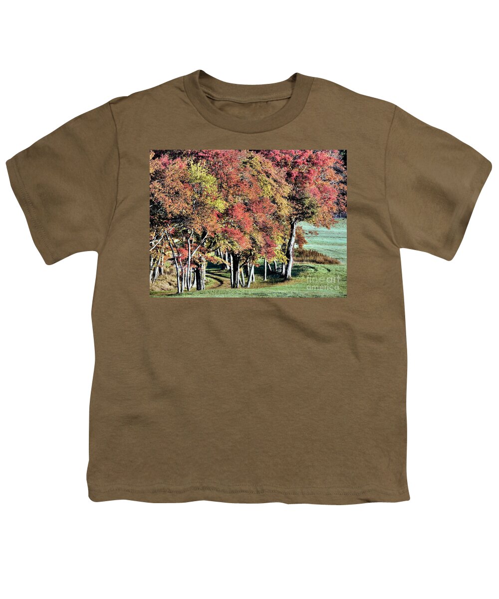 Fall Youth T-Shirt featuring the photograph Striking Fall Color by Janice Drew