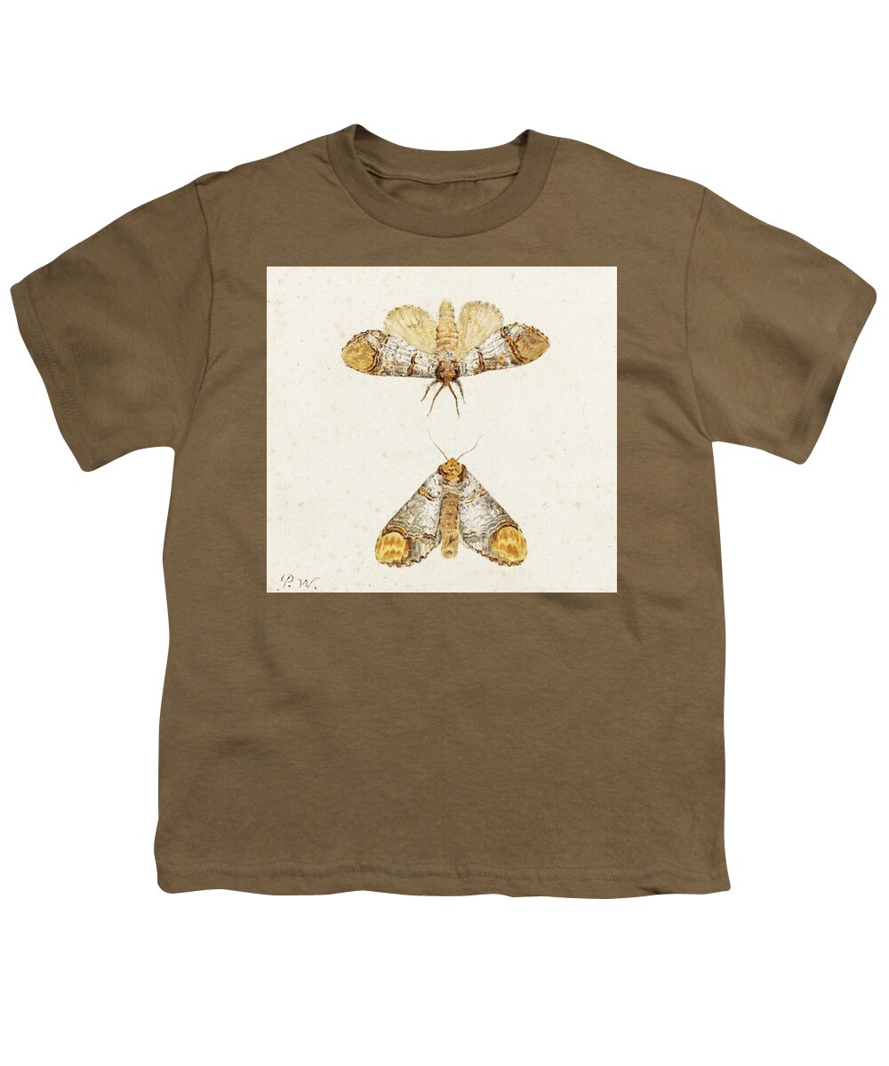 Pieter Withoos Youth T-Shirt featuring the drawing Study of two Moths by Pieter Withoos