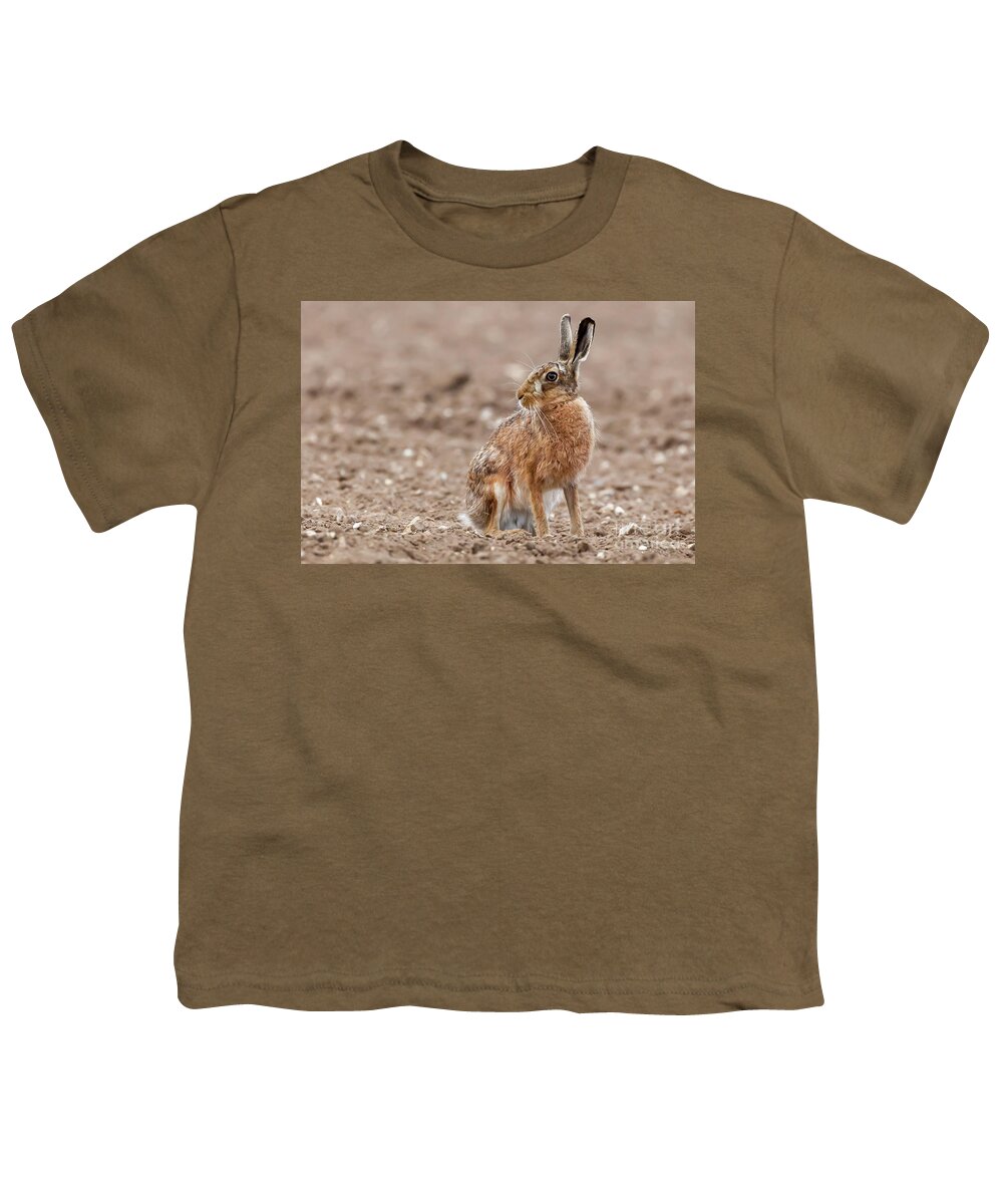 Hare Youth T-Shirt featuring the photograph Stunning large wild brown european hare in the ploughed fields o by Simon Bratt