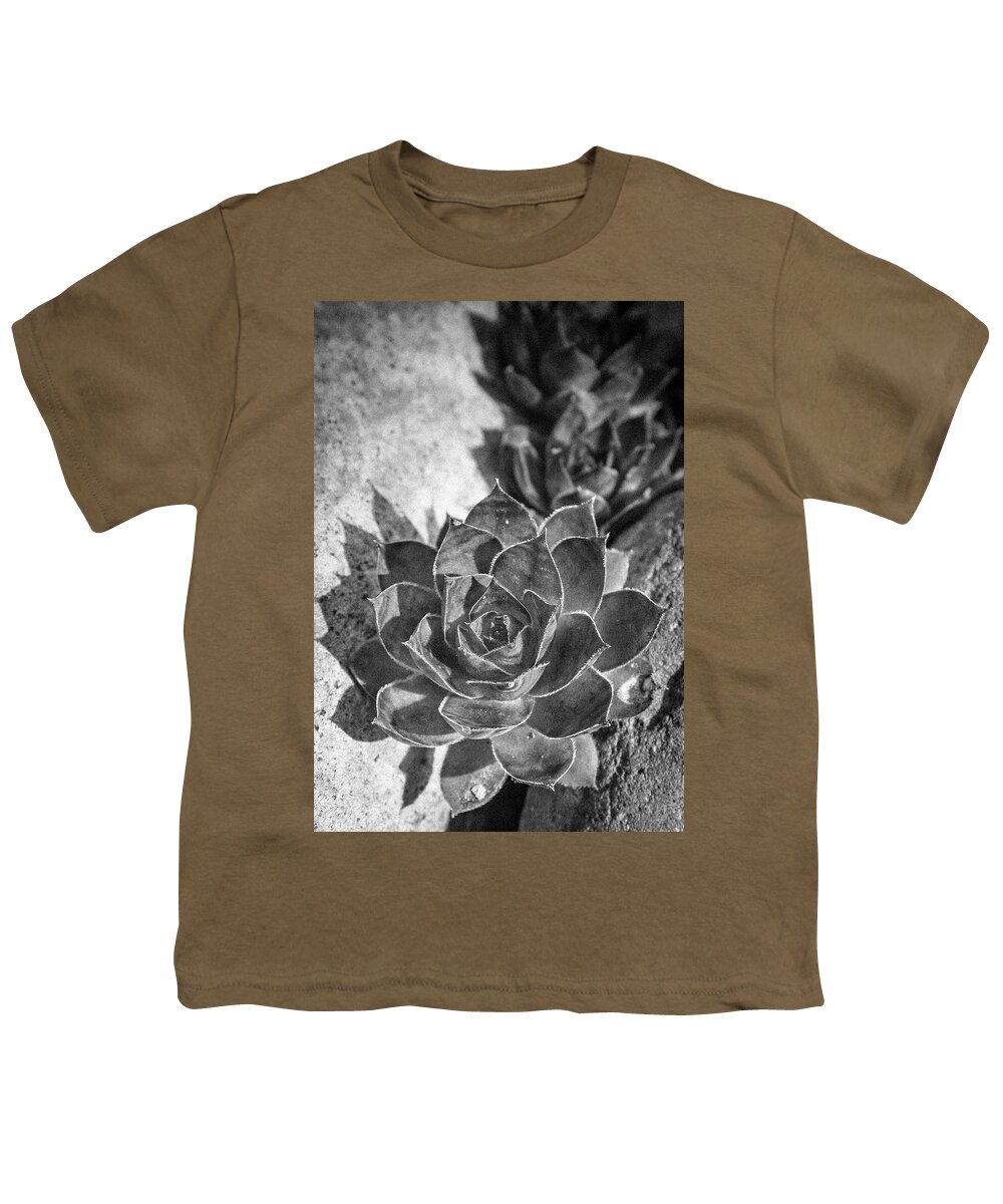 Jean Noren Youth T-Shirt featuring the photograph Succulent Detail by Jean Noren