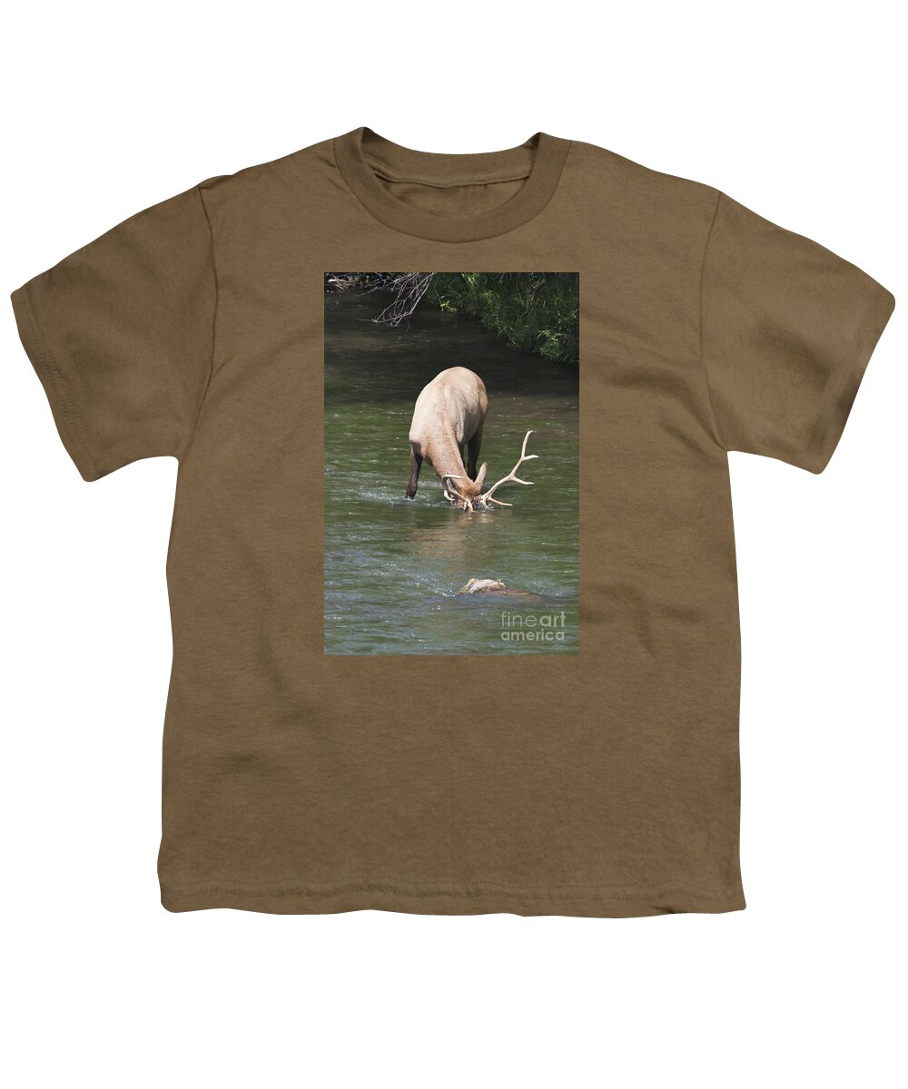 Elk Youth T-Shirt featuring the photograph Summer Cool Down by Douglas Kikendall