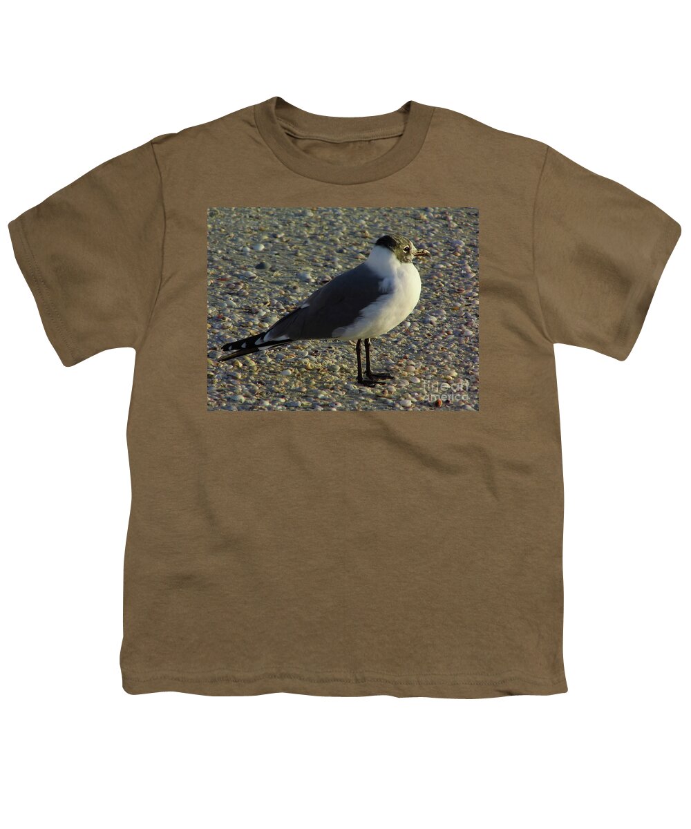 Bird Youth T-Shirt featuring the photograph Sunset Seagull by D Hackett