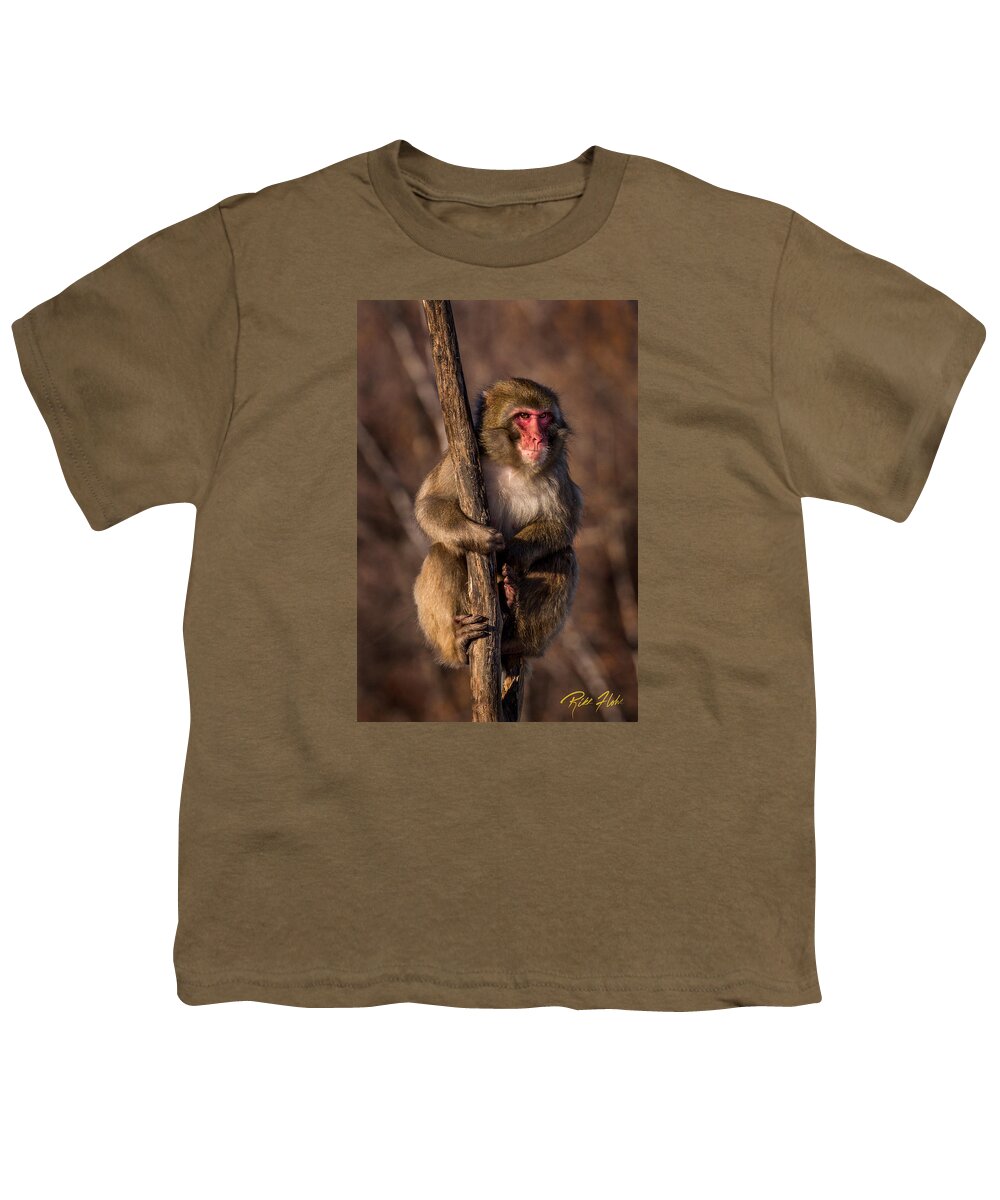 Animals Youth T-Shirt featuring the photograph Surveying Monkey by Rikk Flohr
