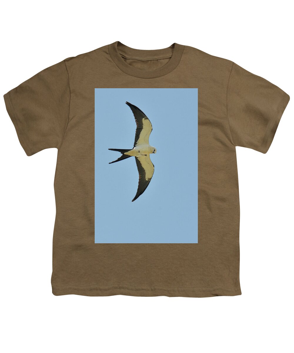 Bird Youth T-Shirt featuring the photograph Swallow-tailed Kite by Alan Lenk