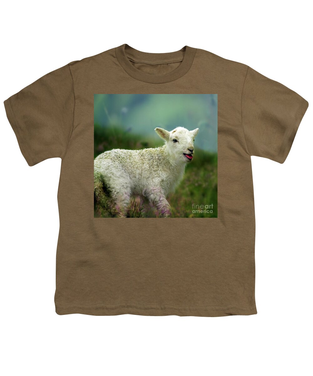 Lamb Youth T-Shirt featuring the photograph Swet Little Lamb by Ang El