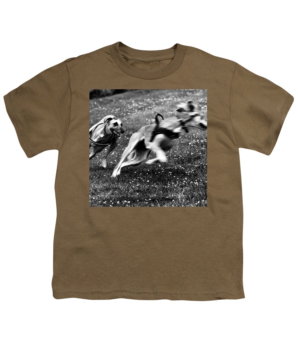 Persiangreyhound Youth T-Shirt featuring the photograph The Chasing Game. Ava Loves Being by John Edwards