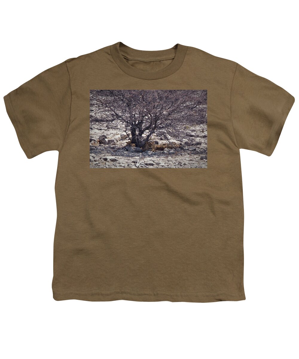 Namibia Youth T-Shirt featuring the photograph The Lion Family by Ernest Echols