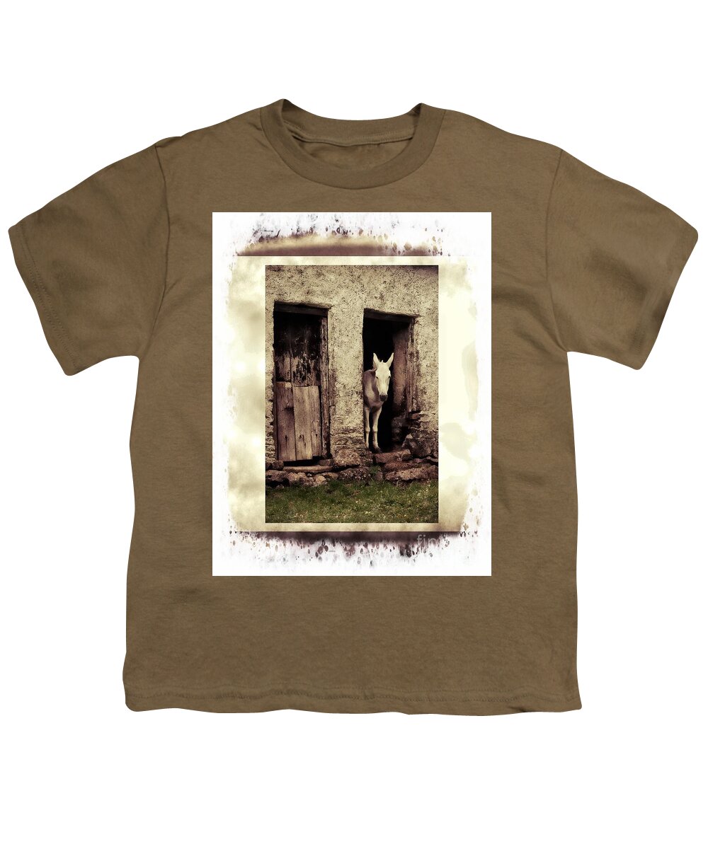 Mule Youth T-Shirt featuring the photograph The Old Mule by Joe Cashin