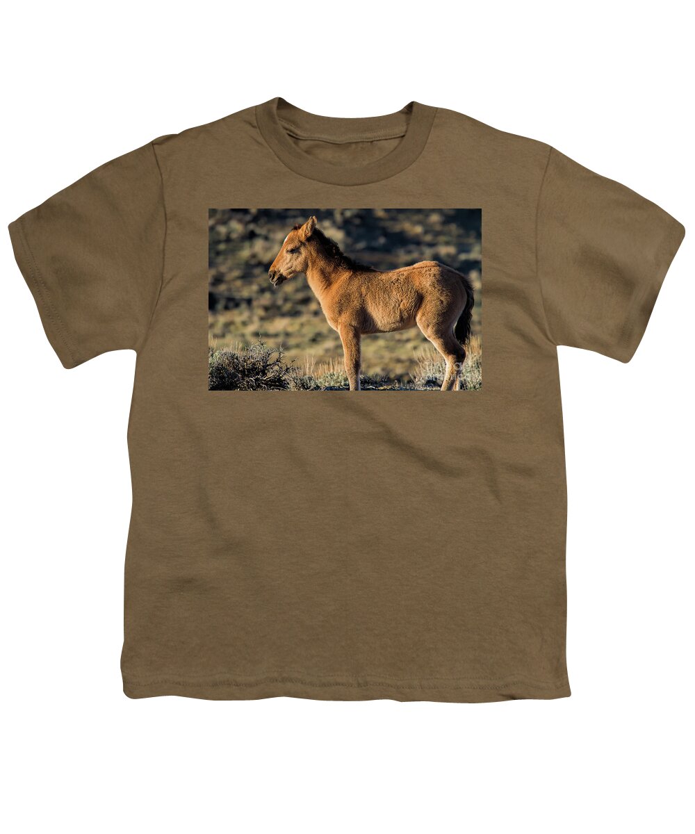 Mustang Youth T-Shirt featuring the photograph The Snooze Button by Jim Garrison
