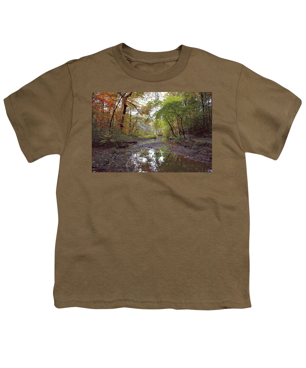 Trees Youth T-Shirt featuring the photograph The Whisper of Fall by John Rivera