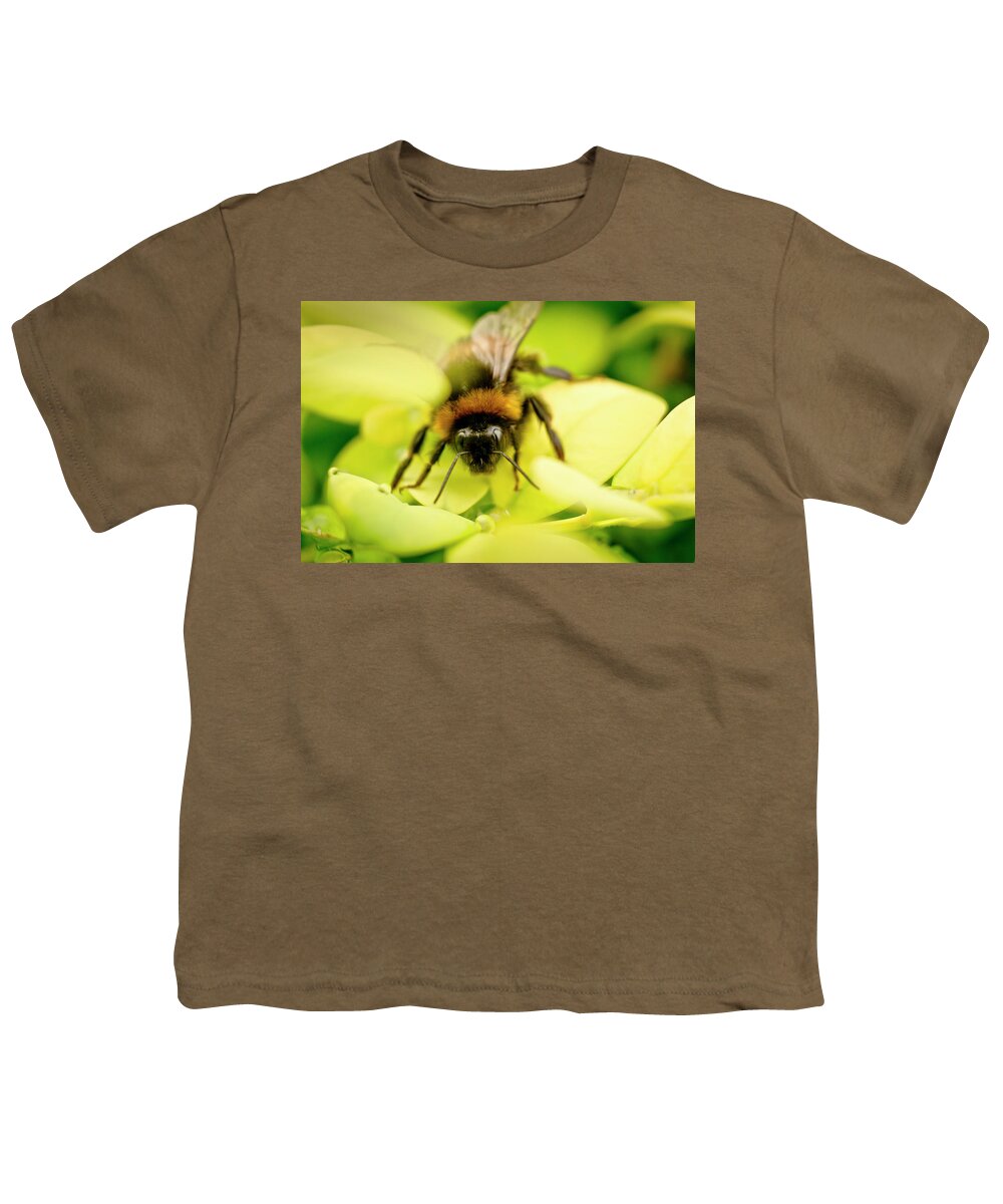Bee Youth T-Shirt featuring the photograph Thirsty Bumble Bee. by Elena Perelman