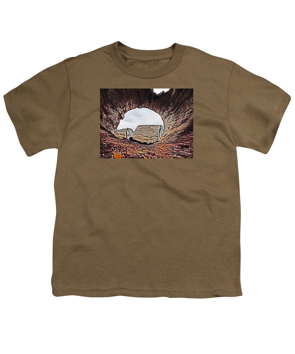  Youth T-Shirt featuring the photograph Through the Looking Log 2 by David Frederick