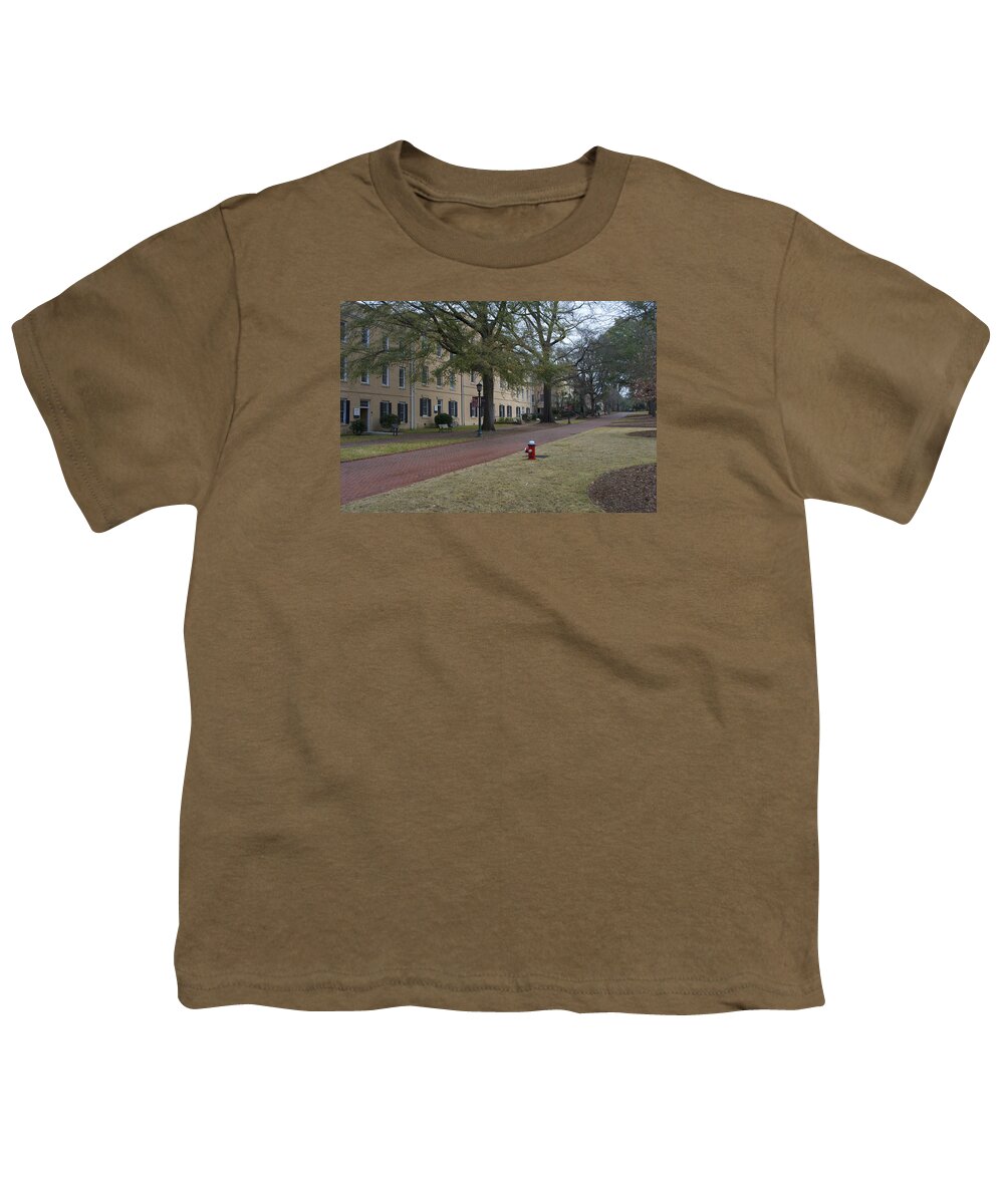 Nic Tours Youth T-Shirt featuring the photograph University Of South Carolina 2 by Skip Willits