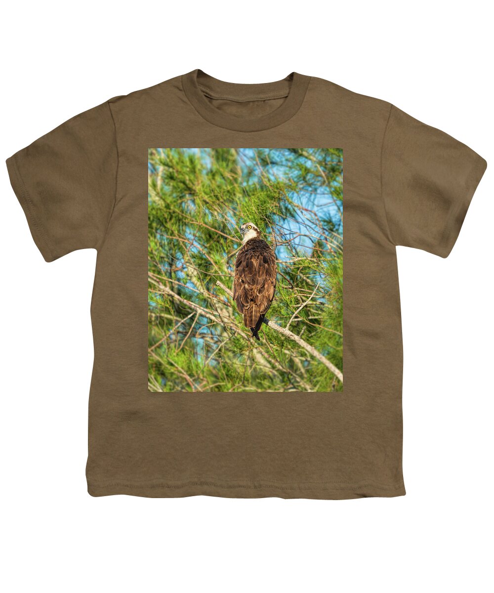 Birds Youth T-Shirt featuring the photograph Vigilance by John M Bailey