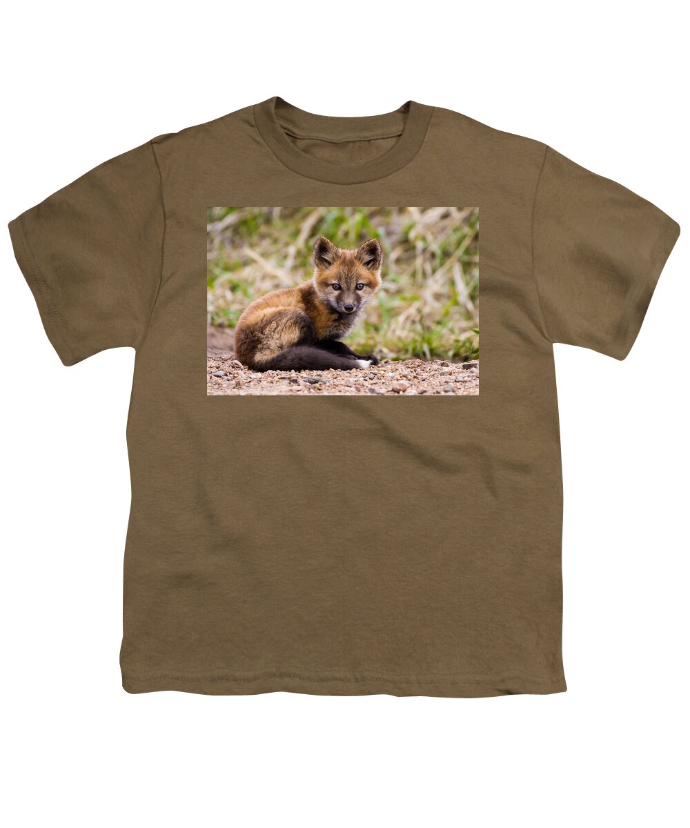 Fox Kit Youth T-Shirt featuring the photograph Waiting For Mom by Mindy Musick King