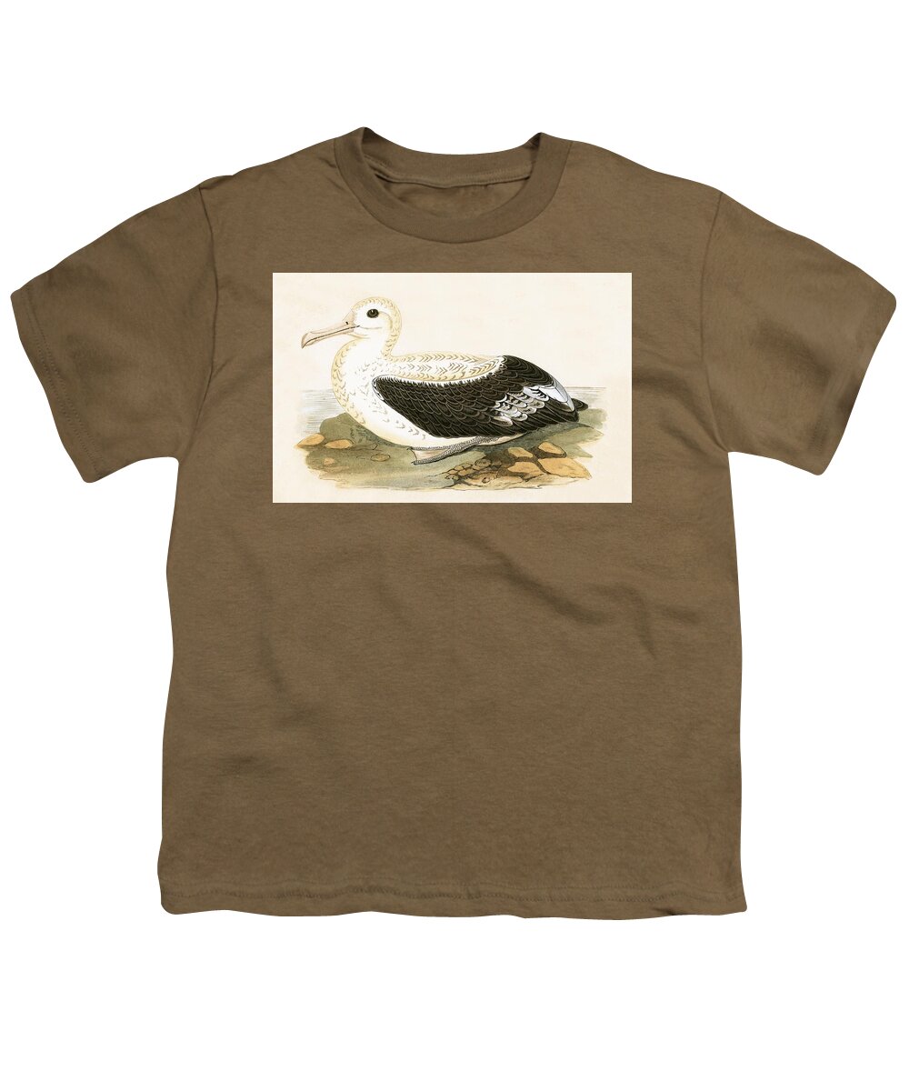 Albatross Youth T-Shirt featuring the painting Wandering Albatross by English School