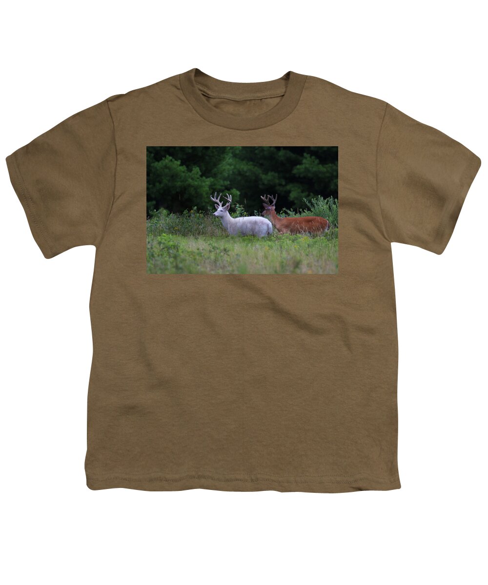 Deer Youth T-Shirt featuring the photograph White and Brown Bucks by Brook Burling