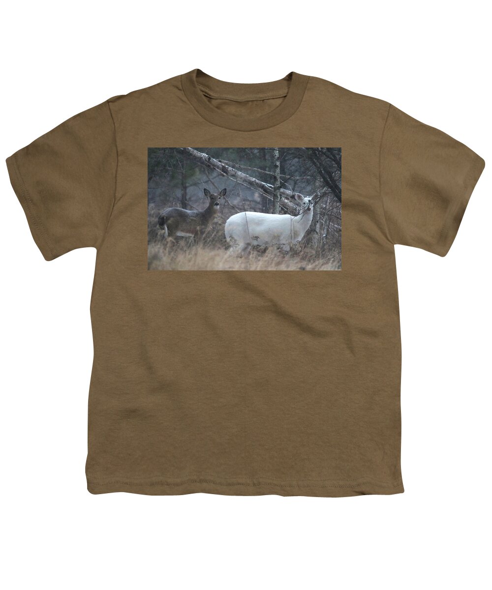 Whitetail Deer Youth T-Shirt featuring the photograph White and Brown Deer Pano 2 by Brook Burling