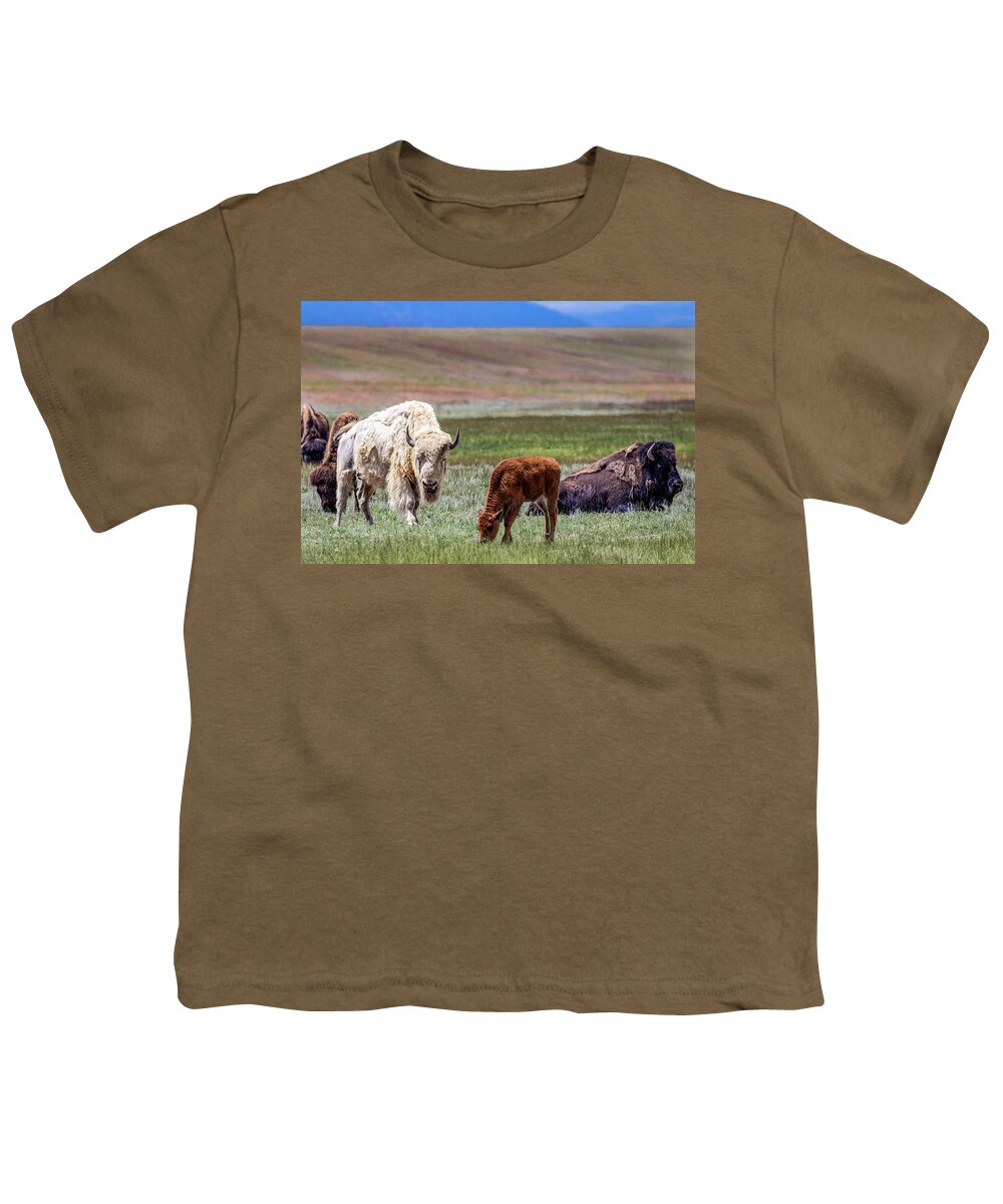 American Youth T-Shirt featuring the photograph White Buffalo by Dawn Key