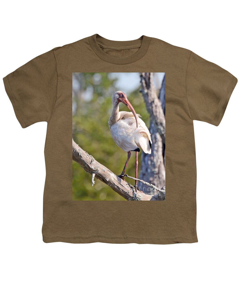 American White Ibis Youth T-Shirt featuring the photograph Wild Birds - American White Ibis by Kerri Farley
