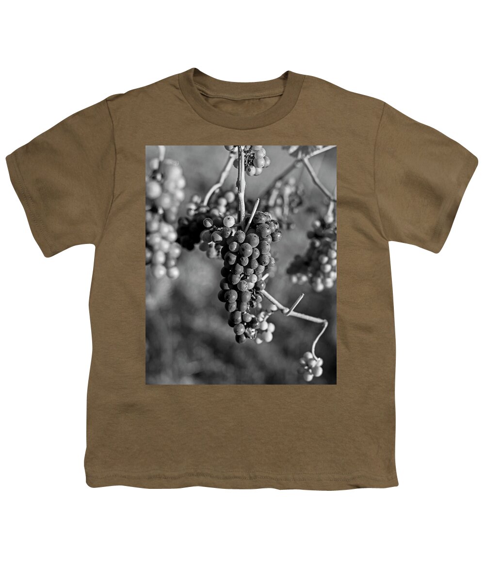 Grape Youth T-Shirt featuring the photograph Wine in process Vineyard Grapevine in Sebastopol CA Purple and Green Grapes Black and White by Toby McGuire