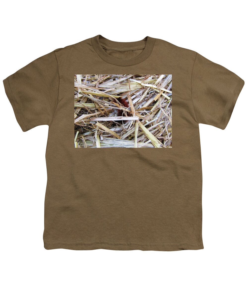 Woolly Youth T-Shirt featuring the photograph Woolly Bear in the Hay 2 by Robert Knight