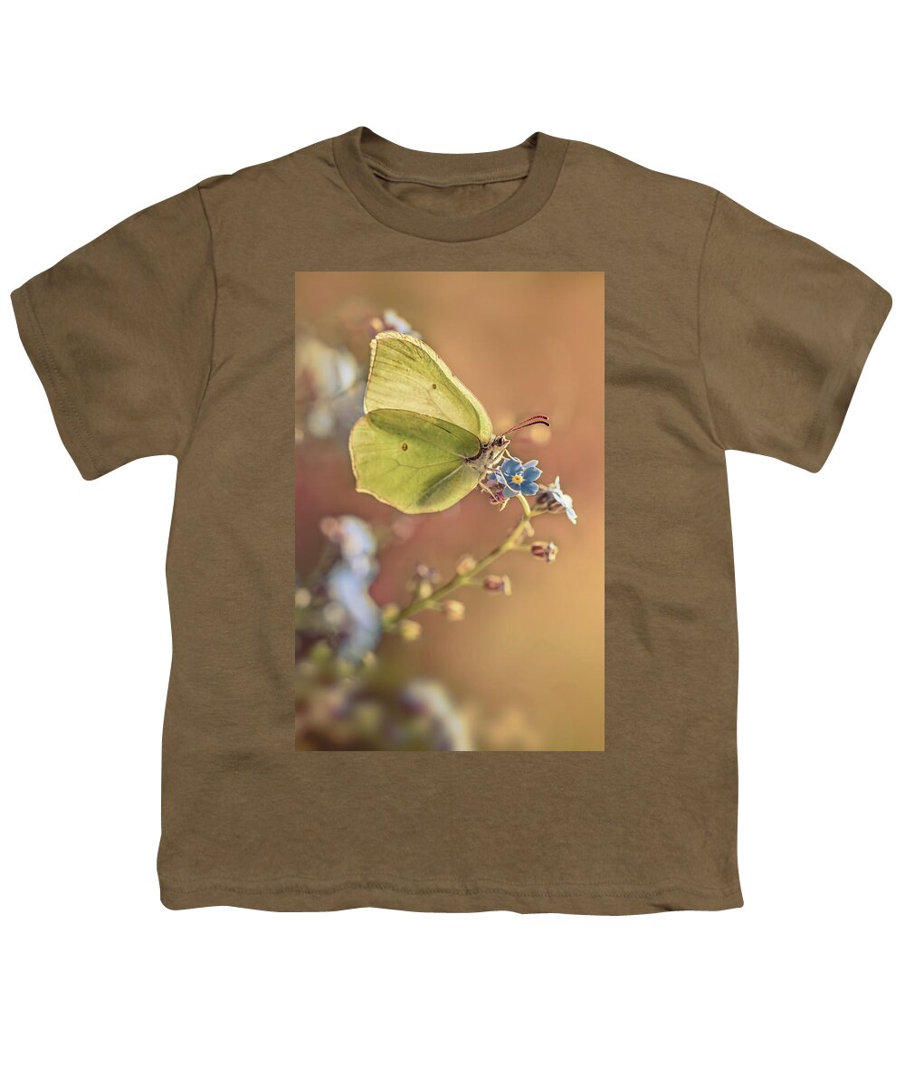 Macrophotography Youth T-Shirt featuring the photograph Yellow butterfly on forget me not flowers by Jaroslaw Blaminsky