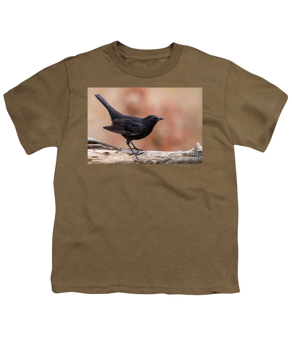 Blackbird Youth T-Shirt featuring the photograph Young Blackbird by Torbjorn Swenelius