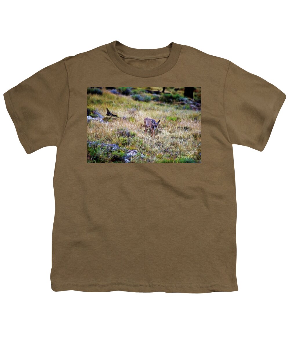 Deer Youth T-Shirt featuring the photograph Young Deer 2 by David Arment