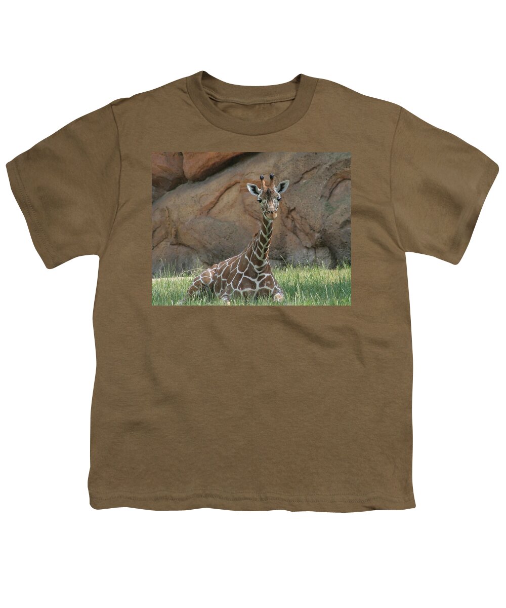 Nashville Zoo Youth T-Shirt featuring the photograph Young Masai Giraffe by Valerie Collins