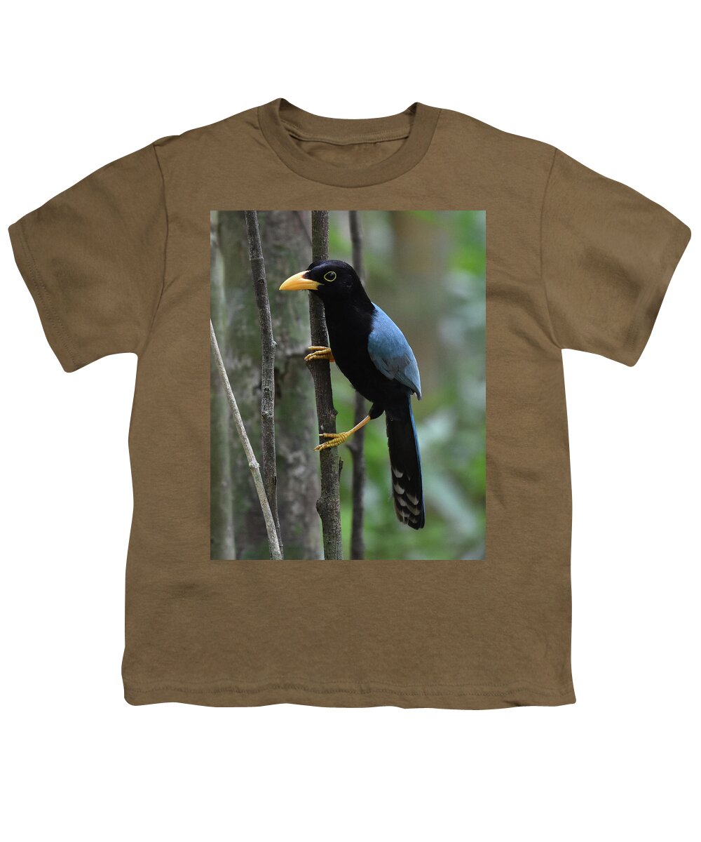 Jay Youth T-Shirt featuring the photograph Yucatan Jay by Ben Foster