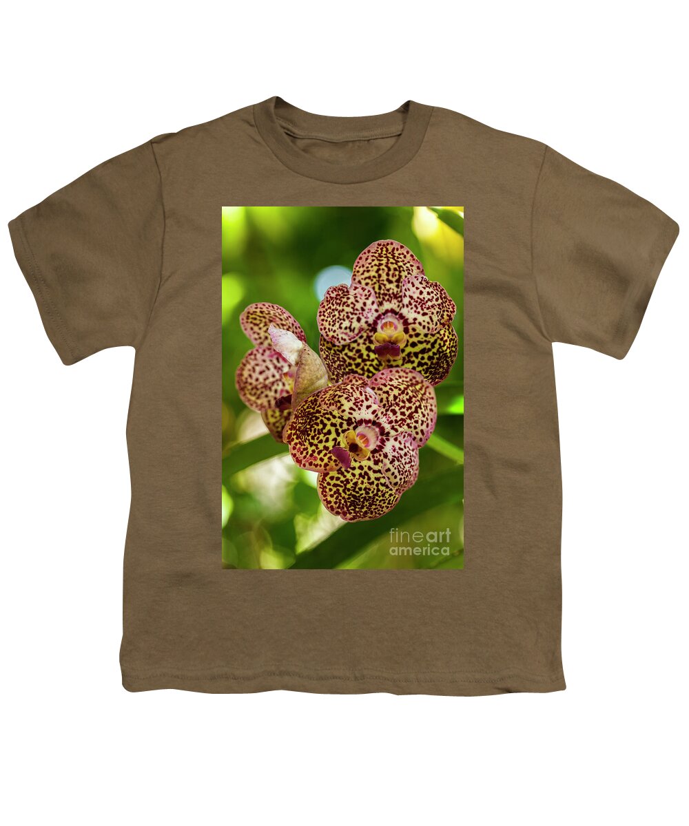 Ascda Kulwadee Fragrance Youth T-Shirt featuring the photograph Black Spotted Vanda Orchid Flowers #1 by Raul Rodriguez