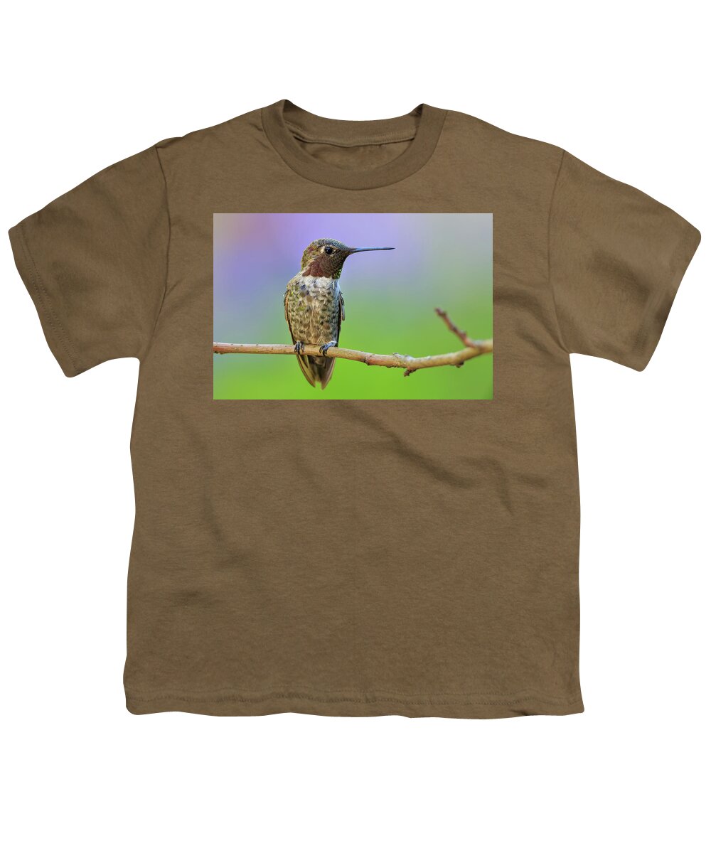 Animal Youth T-Shirt featuring the photograph Midsummer Night's Dream IV - Male Anna's Hummingbird #1 by Briand Sanderson