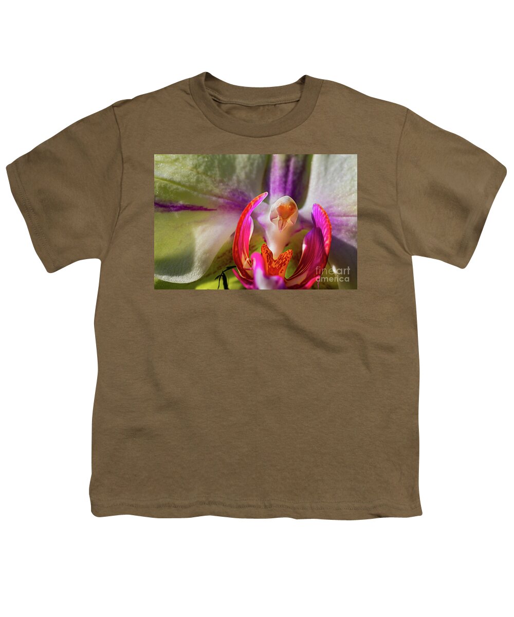 Orchids In Spring Youth T-Shirt featuring the painting Orchids In Spring, Close Up On Blurred Background by European School