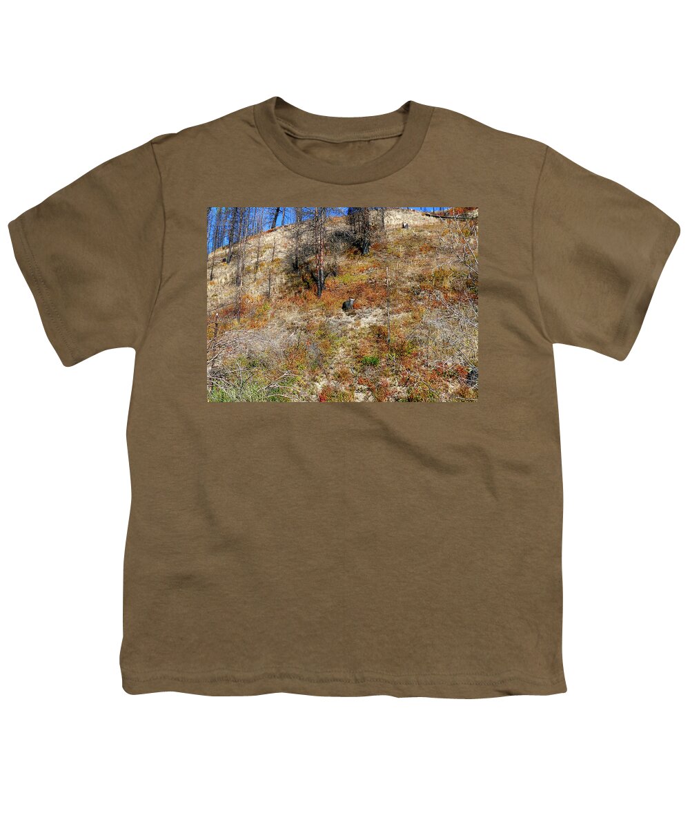 Washington Youth T-Shirt featuring the photograph Aftermath of forest fire with pines #2 by Steve Estvanik