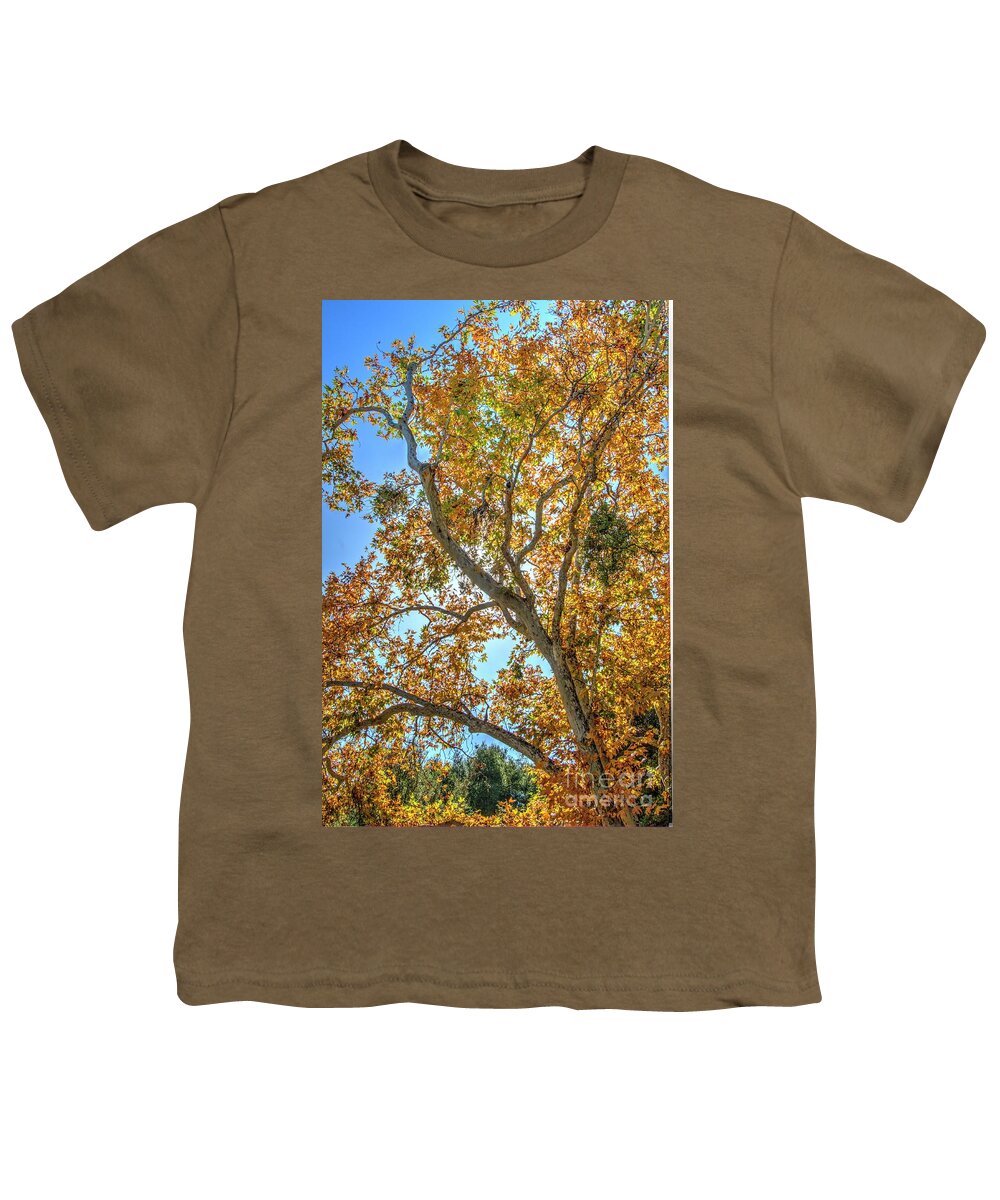 Fall Youth T-Shirt featuring the photograph Fall #3 by Marc Bittan