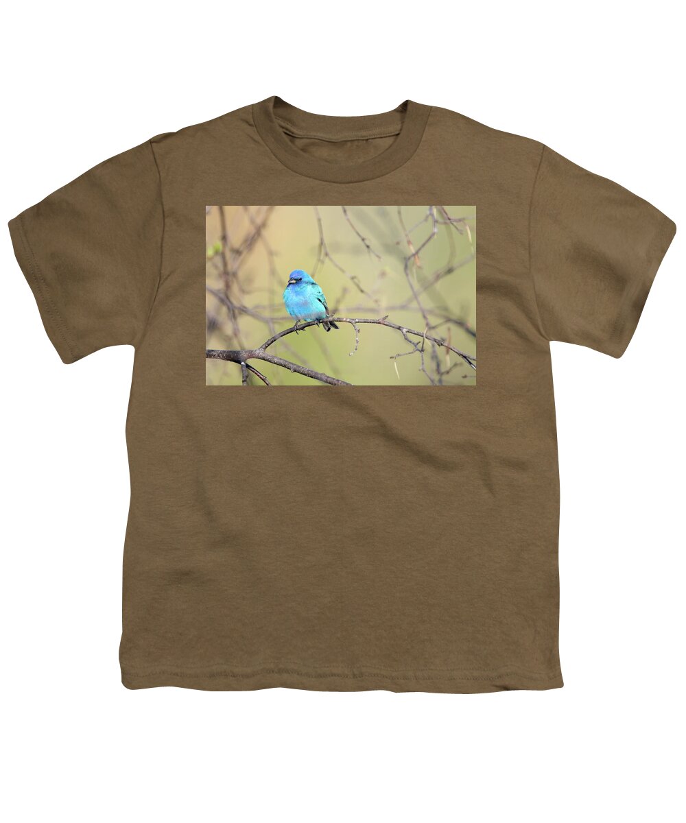 Indigo Bunting Youth T-Shirt featuring the photograph A beautiful Blue Gem by Brook Burling