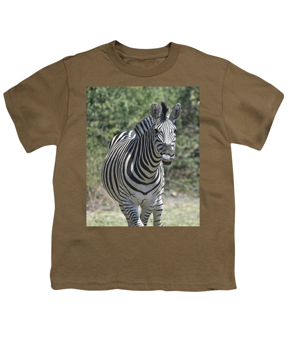 Zebra Youth T-Shirt featuring the photograph A Curious Zebra by Ben Foster