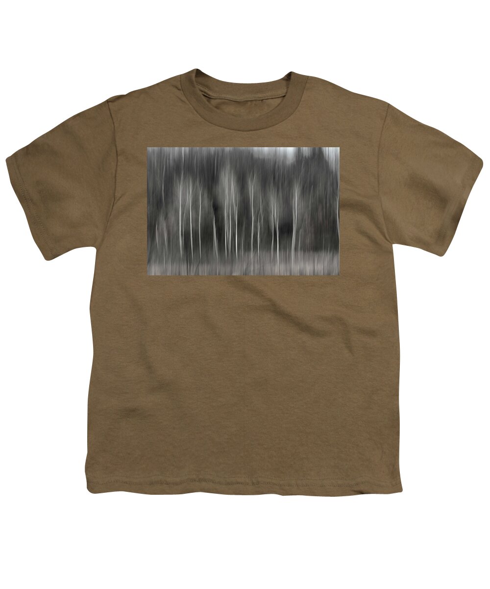 Abstract Youth T-Shirt featuring the photograph Abstract of Birch At The Edge Of The Marsh 2018-2 by Thomas Young