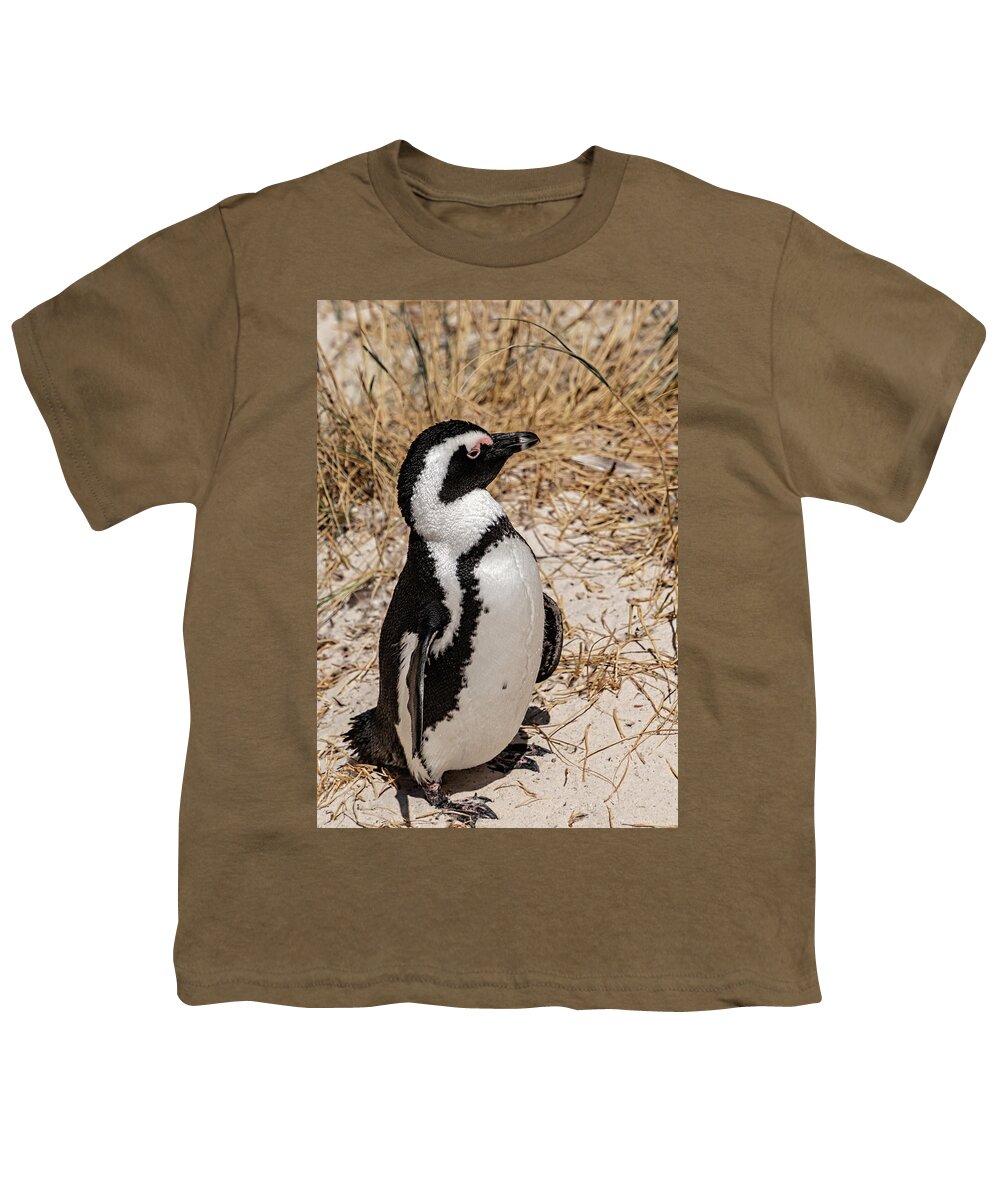 Wildlife Youth T-Shirt featuring the photograph African Penguin by Robert Bolla