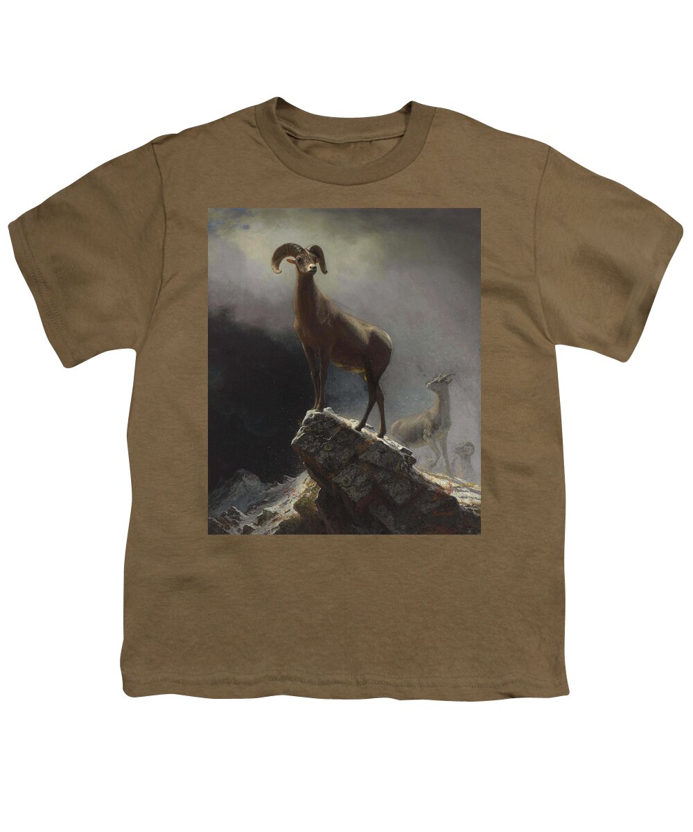 Sheep Youth T-Shirt featuring the painting Albert_Bierstadt_-_Rocky_Mountain_Sheep_or_Big_Horn,_Ovis,_Montana by Albert Bierstadt