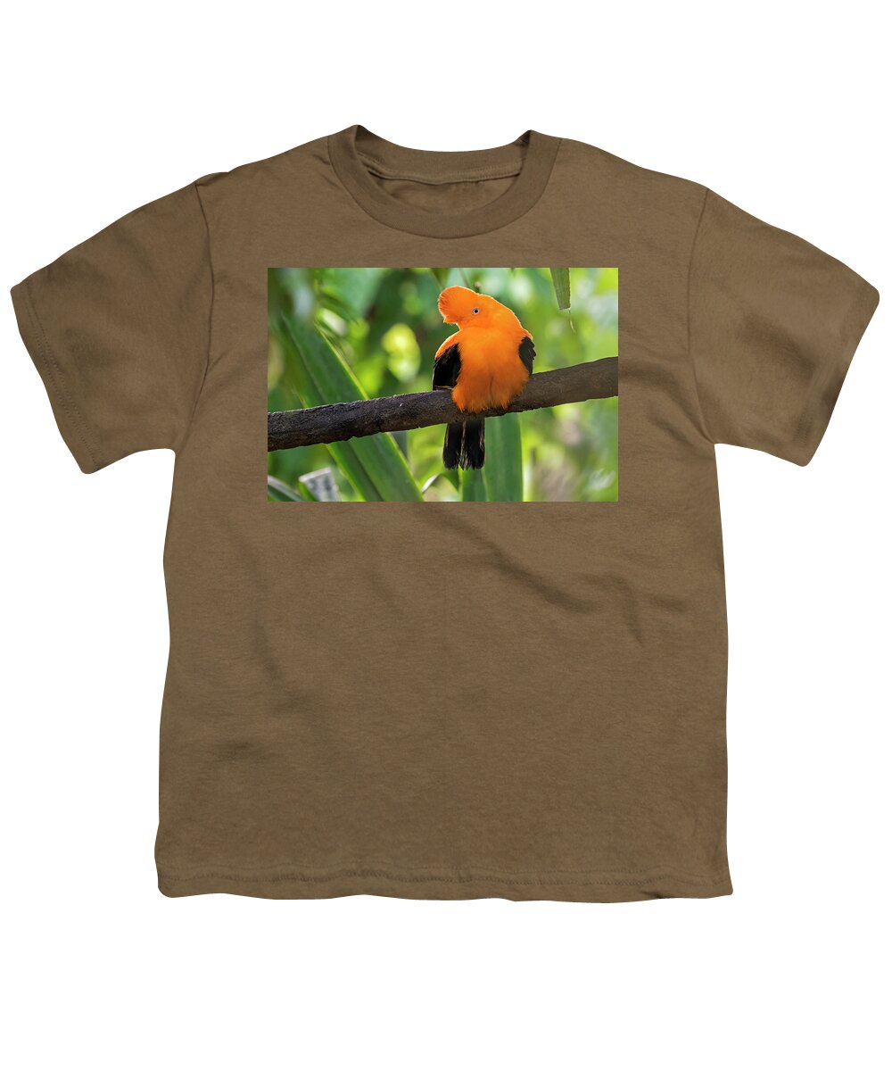 Andean Cock-of-the-rock Youth T-Shirt featuring the photograph Andean cock-of-the-rock by Arterra Picture Library